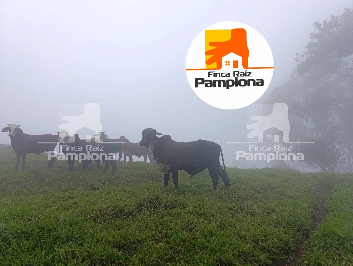 Hermosa finca en venta