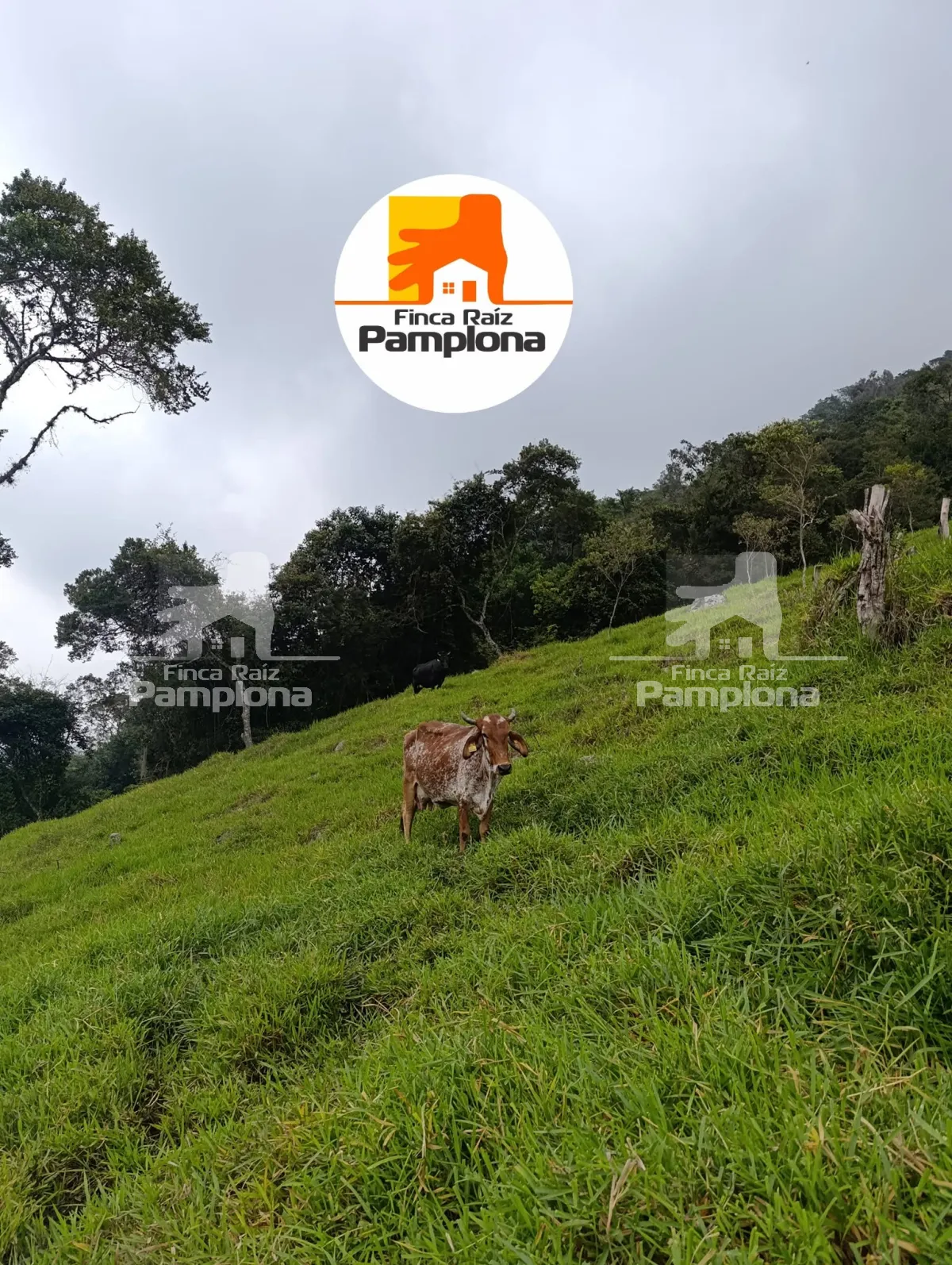 Hermosa finca en venta
