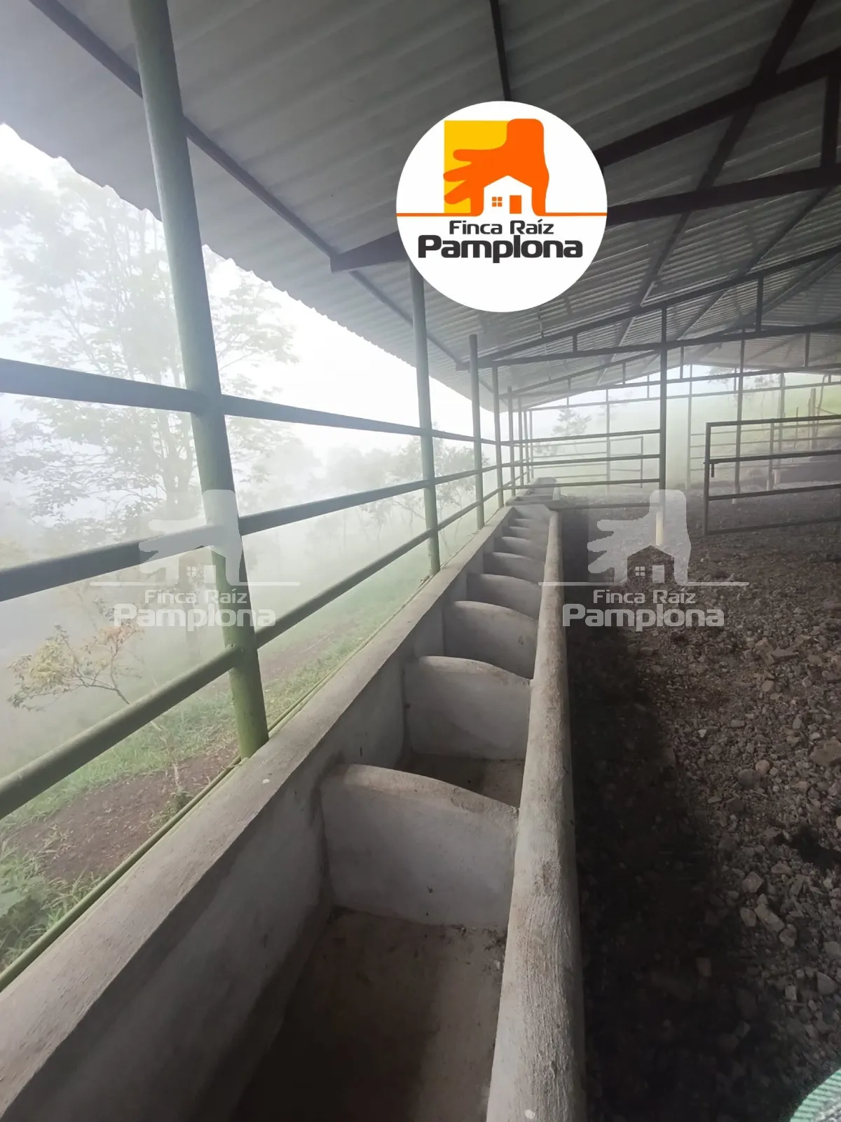 Estupenda finca ganadera en venta