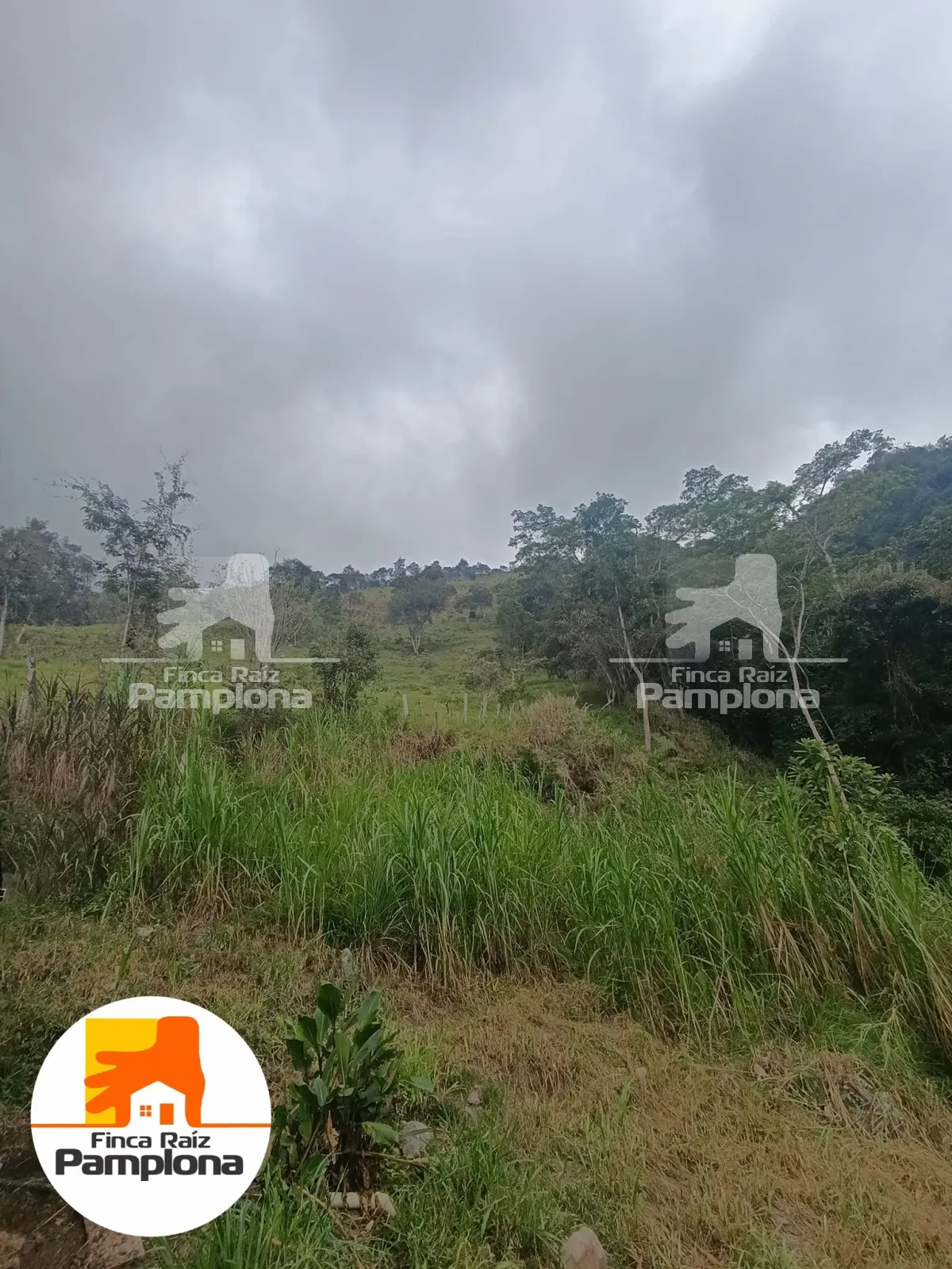 Estupenda finca ganadera en venta