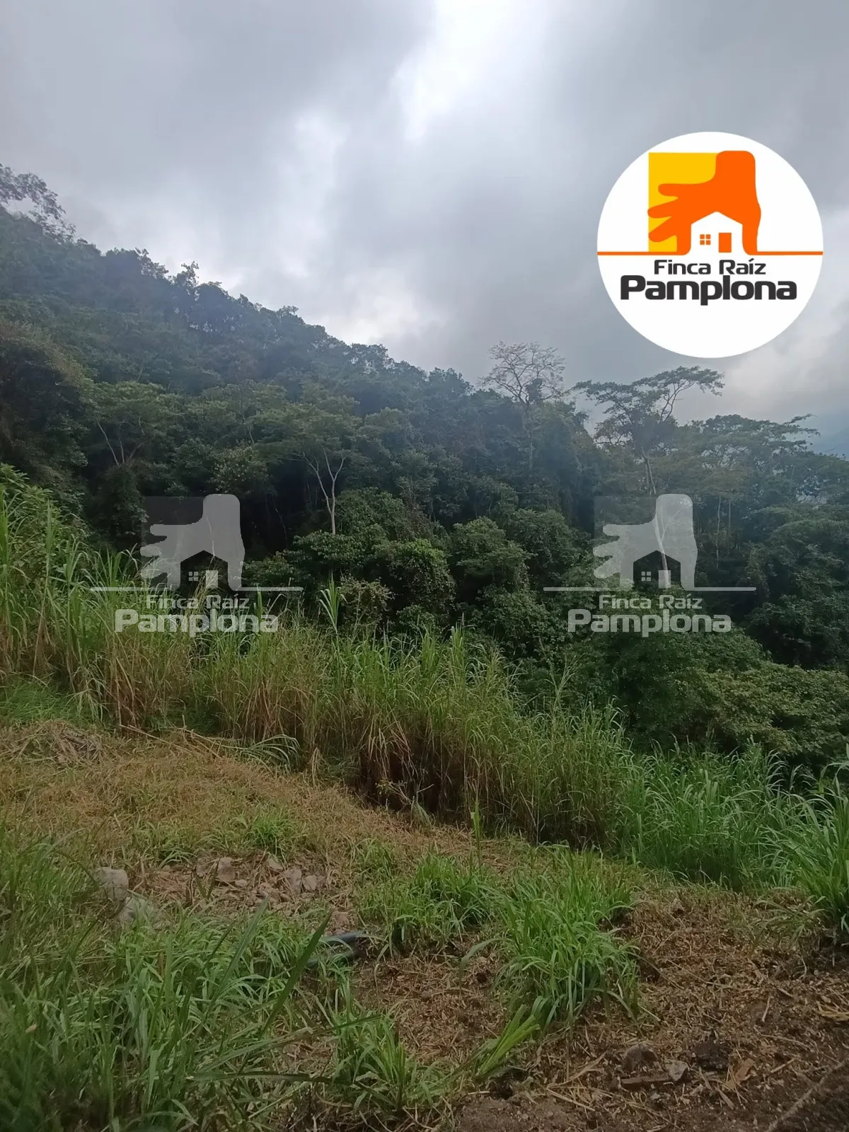 Estupenda finca ganadera en venta