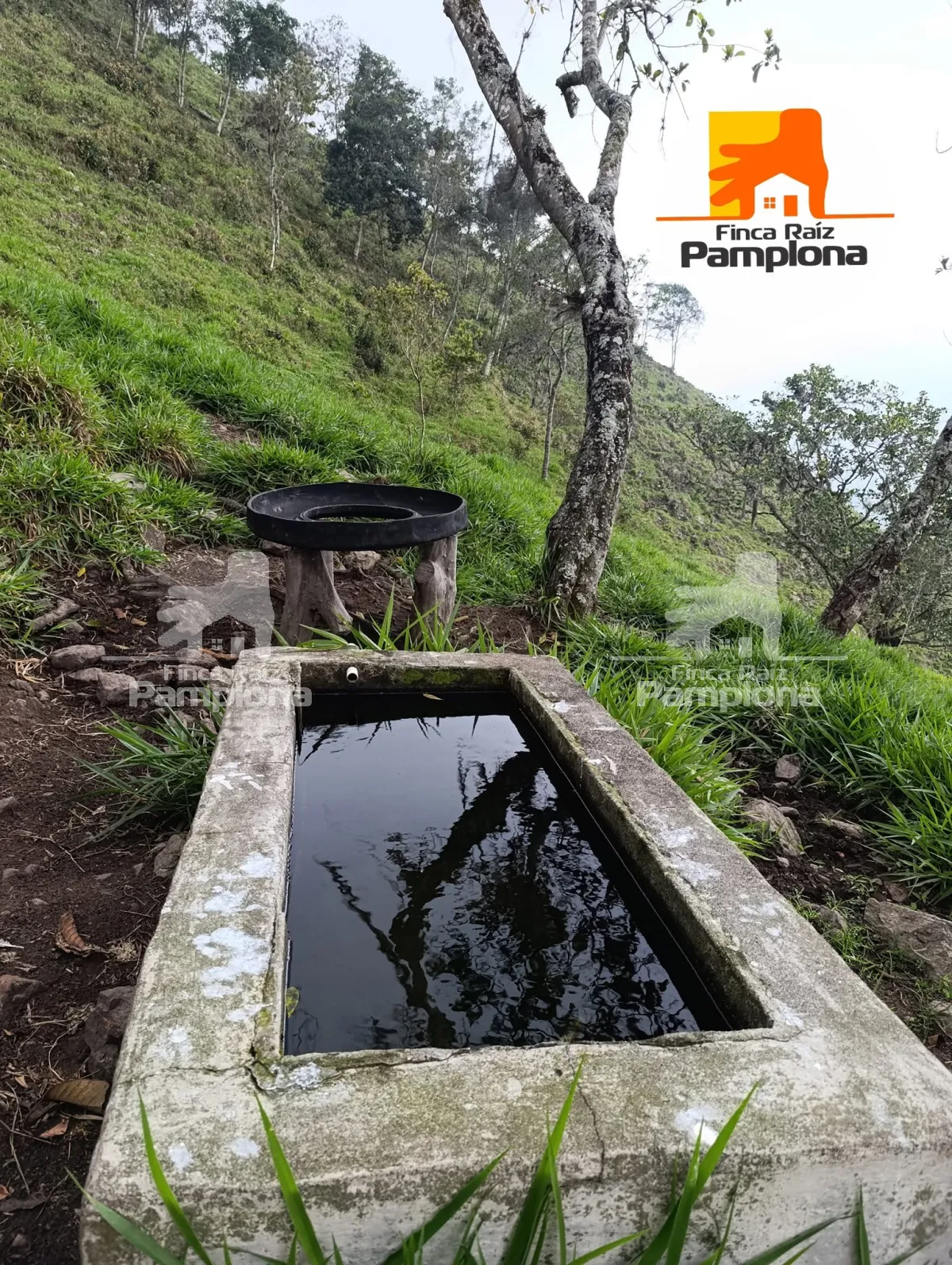 Estupenda finca ganadera en venta